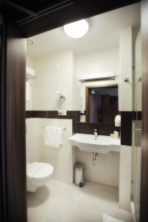 Hotel Termy Palacowe Naleczow Room photo